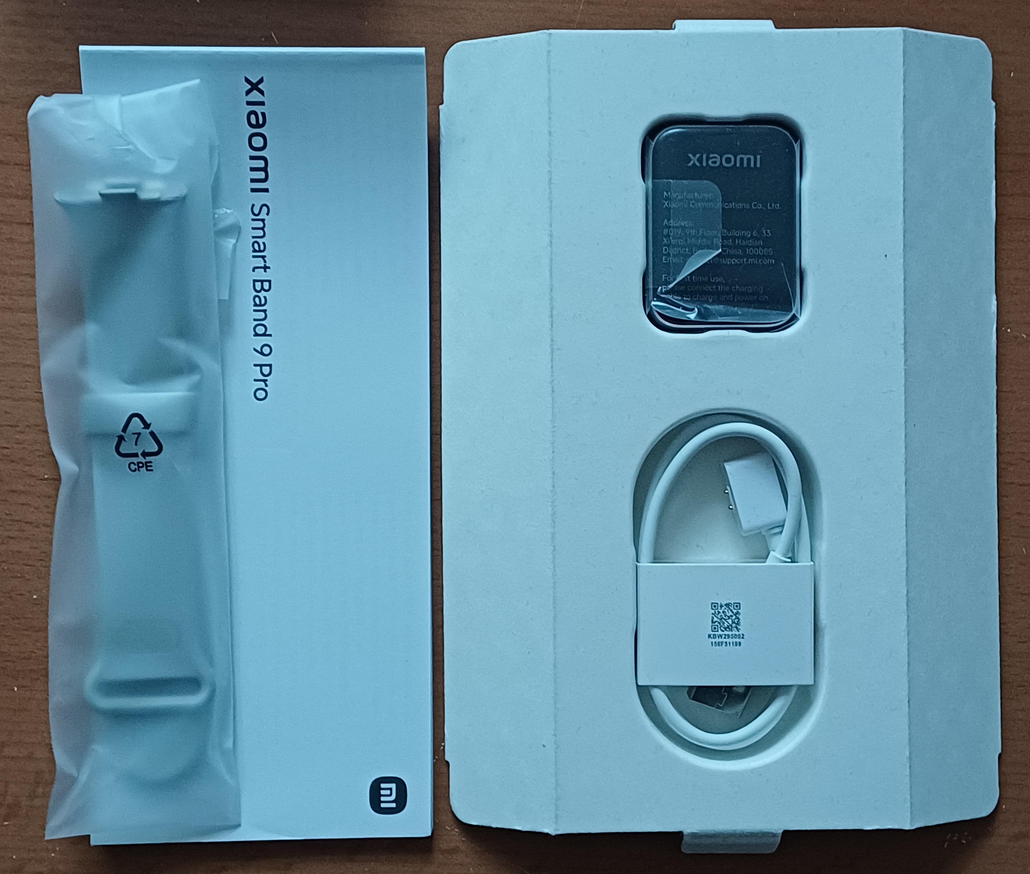 Xiaomi Smart Band 9 Pro Moonlight Silver